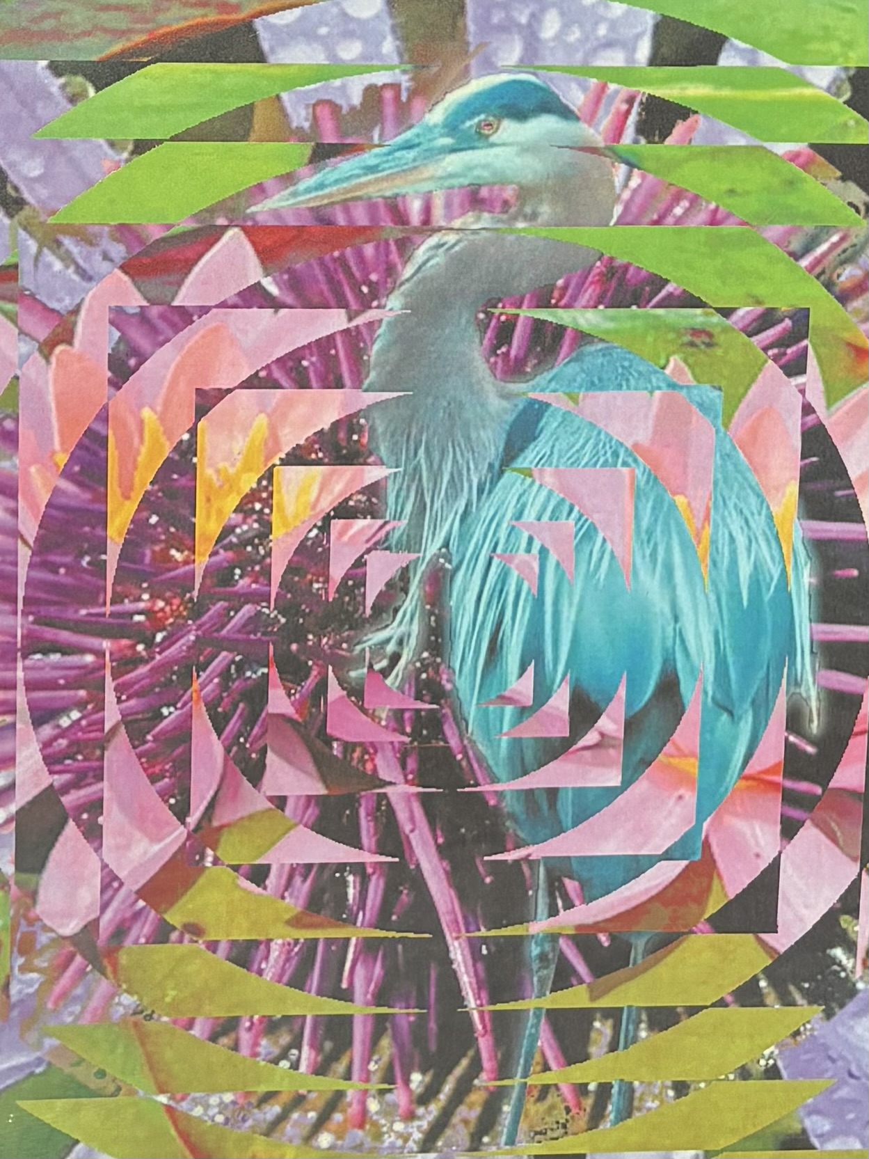 Heron by Fred Pierre